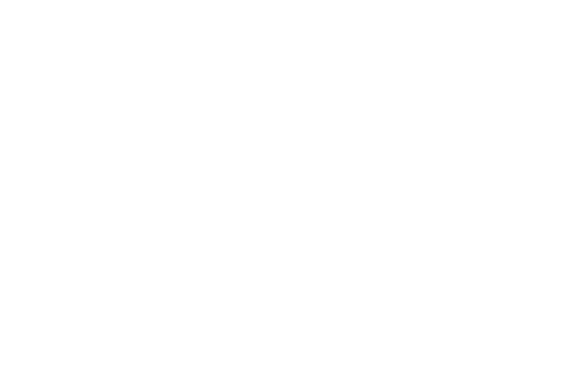 WiseCX